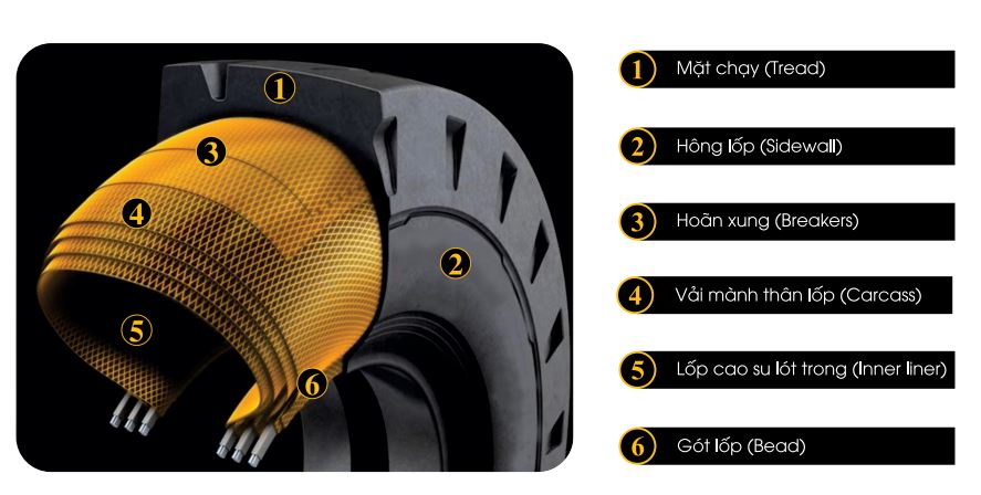 Sơ đồ cắt ngang chi tiết cấu trúc lốp xe BIAS DRC, làm rõ 5 thành phần chính: mặt lốp (Tread), các lớp hoàn xung (Steel belts), khung lốp theo cấu trúc hướng tâm (Radial construction casing), hông lốp (Sidewall) và gót lốp (Bead).