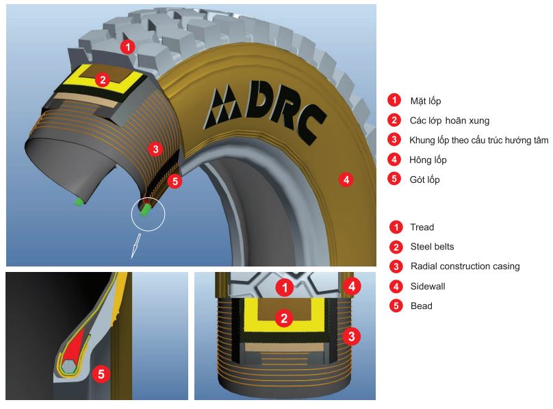 Sơ đồ cắt ngang chi tiết cấu trúc lốp xe DRC, làm rõ 5 thành phần chính: mặt lốp (Tread), các lớp hoàn xung (Steel belts), khung lốp theo cấu trúc hướng tâm (Radial construction casing), hông lốp (Sidewall) và gót lốp (Bead).